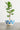 Mo's Crib PVC Planter-Ivory/Natural/Royal handcrafted African homeware