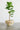 Mo's Crib PVC Planter-Ivory/Natural/Royal handcrafted African homeware