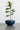 Mo's Crib PVC Planter-Ivory/Natural/Royal handcrafted African homeware