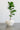 Mo's Crib PVC Planter-Ivory/Natural/Royal handcrafted African homeware