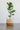Mo's Crib Banana And Sisal Basket handcrafted African homeware