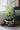Mo's Crib PVC Planter-Ivory/Natural/Royal handcrafted African homeware