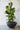 Mo's Crib PVC Planter-Ivory/Natural/Royal handcrafted African homeware