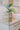 Mo's Crib Mhlaza Planter DW-Natural handcrafted African homeware